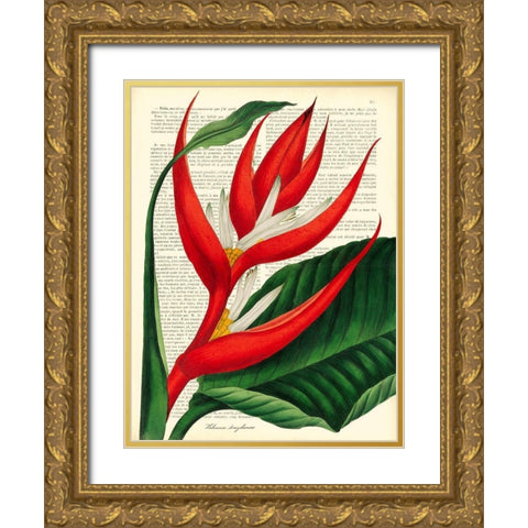 Vintage Botany I Gold Ornate Wood Framed Art Print with Double Matting by Dellal, Remy