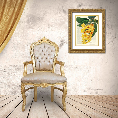 Vintage Botany III Gold Ornate Wood Framed Art Print with Double Matting by Dellal, Remy