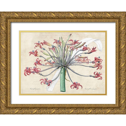 Josephines lily- After Redoute Gold Ornate Wood Framed Art Print with Double Matting by Dellal, Remy