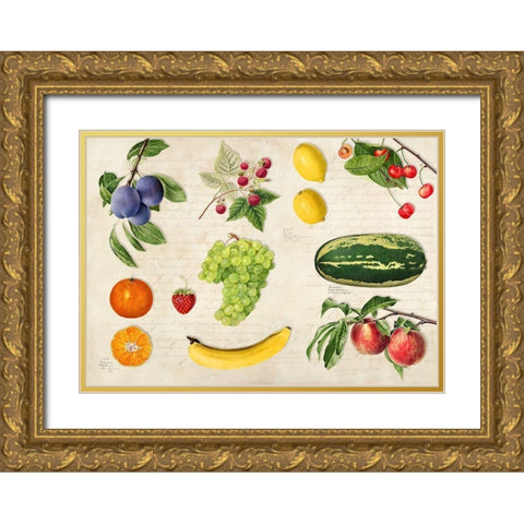 Fruits du Monde Gold Ornate Wood Framed Art Print with Double Matting by Dellal, Remy