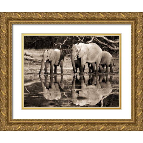 African elephants, Okavango, Botswana Gold Ornate Wood Framed Art Print with Double Matting by Krahmer, Frank