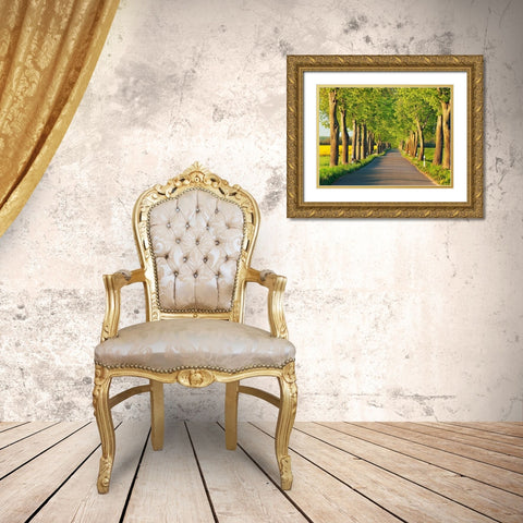 Lime tree alley, Mecklenburg Lake District, Germany Gold Ornate Wood Framed Art Print with Double Matting by Krahmer, Frank