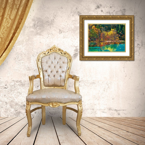 Forest in autumn colours, Sichuan, China Gold Ornate Wood Framed Art Print with Double Matting by Krahmer, Frank