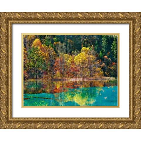 Forest in autumn colours, Sichuan, China Gold Ornate Wood Framed Art Print with Double Matting by Krahmer, Frank
