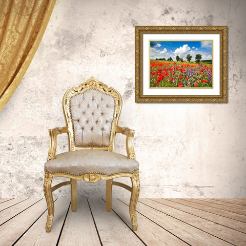 Poppies and vicias in meadow, Mecklenburg Lake District, Germany Gold Ornate Wood Framed Art Print with Double Matting by Krahmer, Frank
