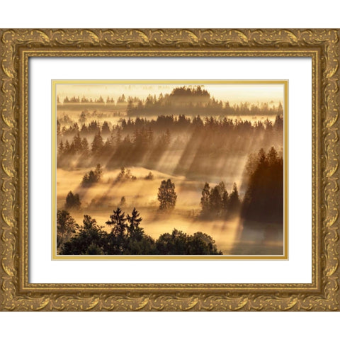 Fog impression at Sindelbachfilz, Bavaria, Germany Gold Ornate Wood Framed Art Print with Double Matting by Krahmer, Frank