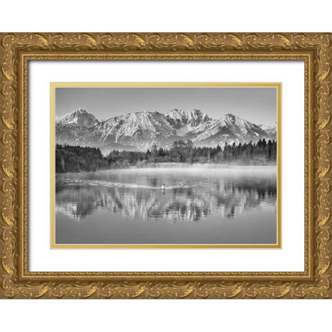 Allgaeu Alps and Hopfensee lake, Bavaria, Germany (BW) Gold Ornate Wood Framed Art Print with Double Matting by Frank, Krahmer