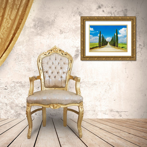 Cypress alley- San Quirico dOrcia- Tuscany Gold Ornate Wood Framed Art Print with Double Matting by Krahmer, Frank