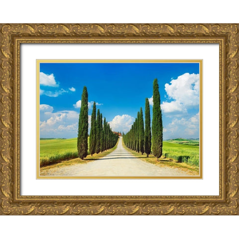 Cypress alley- San Quirico dOrcia- Tuscany Gold Ornate Wood Framed Art Print with Double Matting by Krahmer, Frank