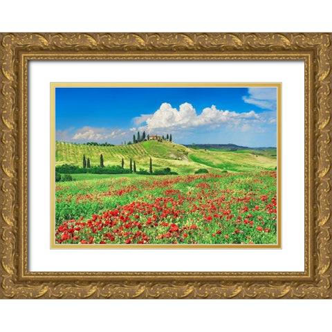 Farmhouse with Cypresses and Poppies- Val dOrcia- Tuscany  Gold Ornate Wood Framed Art Print with Double Matting by Krahmer, Frank