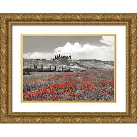 Farmhouse with Cypresses and Poppies- Val dOrcia- Tuscany (BW) Gold Ornate Wood Framed Art Print with Double Matting by Krahmer, Frank