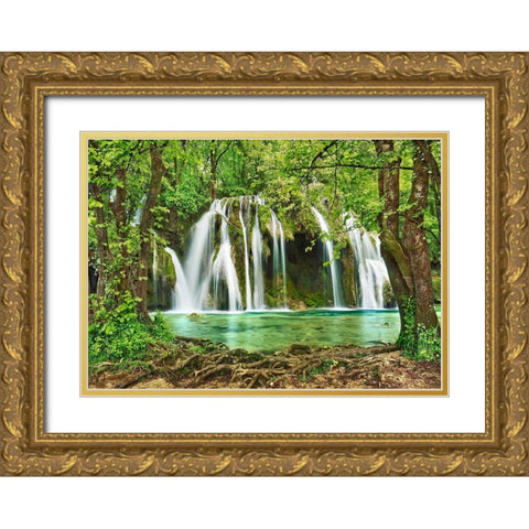 Cascade des Tufs (Alps- French Jura) Gold Ornate Wood Framed Art Print with Double Matting by Krahmer, Frank