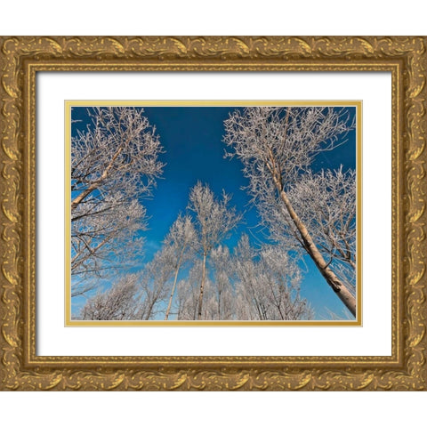 Sottozero Gold Ornate Wood Framed Art Print with Double Matting by Ferrua, Fulvio