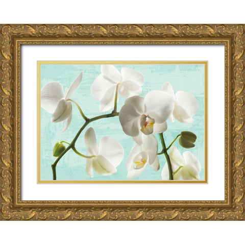 Celadon Orchids Gold Ornate Wood Framed Art Print with Double Matting by Jenny, Thomlinson
