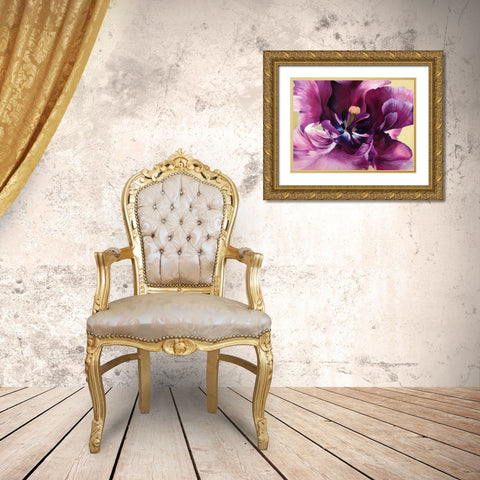 Purple tulip close-up Gold Ornate Wood Framed Art Print with Double Matting by Villa, Luca
