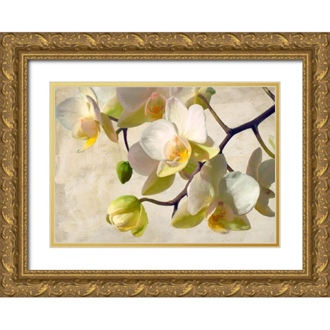 Orchid in the sun Gold Ornate Wood Framed Art Print with Double Matting by Villa, Luca