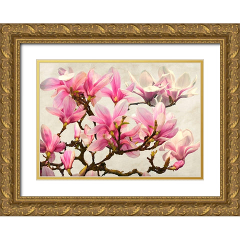 Magnolia Branch - neutral Gold Ornate Wood Framed Art Print with Double Matting by Villa, Luca