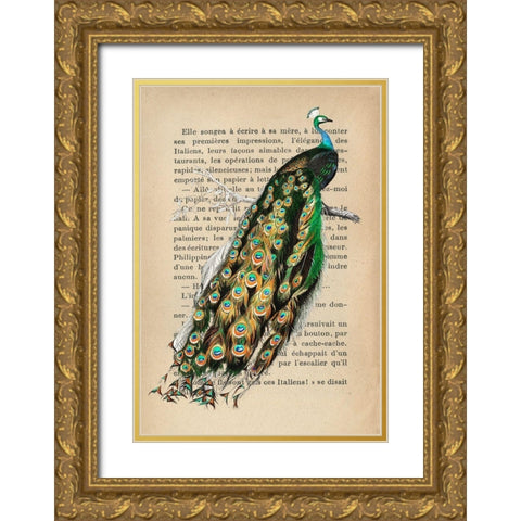 Indian peafowl- After DOrbigny Gold Ornate Wood Framed Art Print with Double Matting by Lamanche, Stef