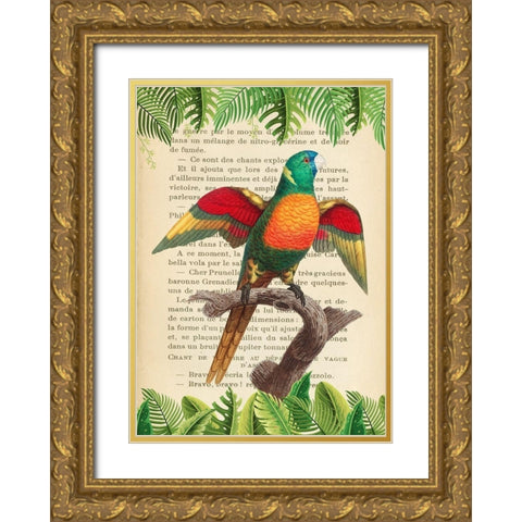 The Blue-Headed Parrot- After Levaillant Gold Ornate Wood Framed Art Print with Double Matting by Lamanche, Stef