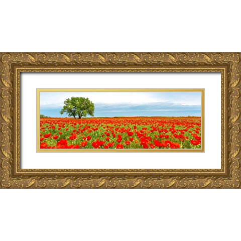 Tree in a poppy field Gold Ornate Wood Framed Art Print with Double Matting by Anonymous
