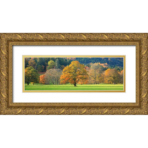 Mixed trees in autumn colour Scotland Gold Ornate Wood Framed Art Print with Double Matting by Anonymous