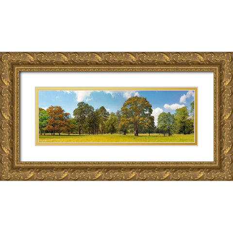Trees in a Park Gold Ornate Wood Framed Art Print with Double Matting by Pangea Images