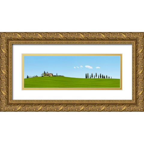 Strada del Brunello-Tuscany (detail) Gold Ornate Wood Framed Art Print with Double Matting by Pangea Images