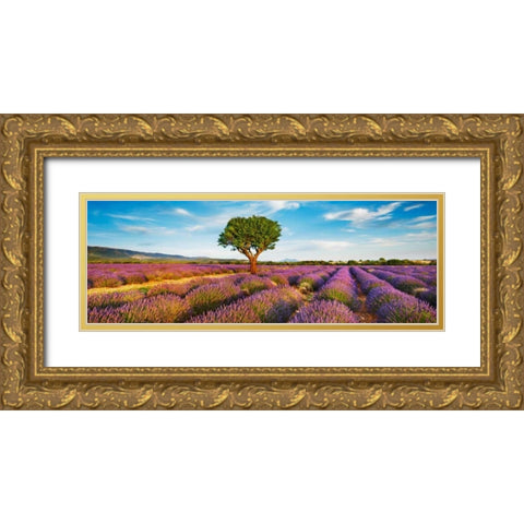 Lavender field and almond tree, Provence, France Gold Ornate Wood Framed Art Print with Double Matting by Krahmer, Frank
