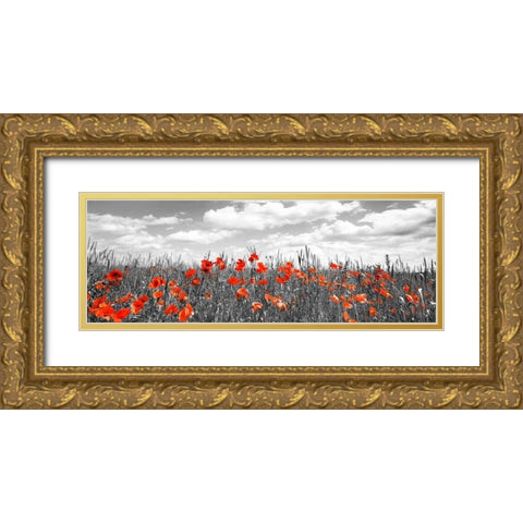 Poppies in corn field, Bavaria, Germany Gold Ornate Wood Framed Art Print with Double Matting by Krahmer, Frank