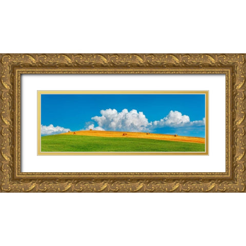 Corn field harvested, Tuscany, Italy Gold Ornate Wood Framed Art Print with Double Matting by Krahmer, Frank