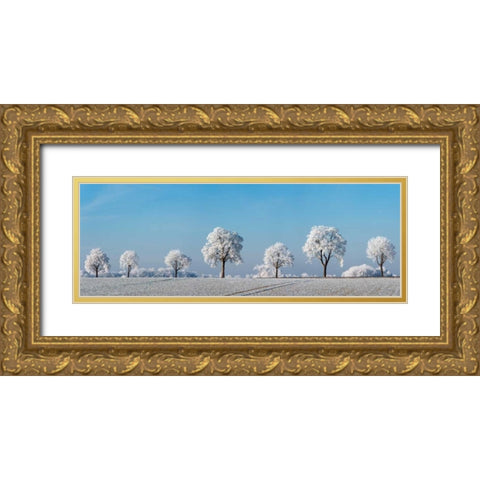 Alley tree with frost, Bavaria, Germany Gold Ornate Wood Framed Art Print with Double Matting by Krahmer, Frank