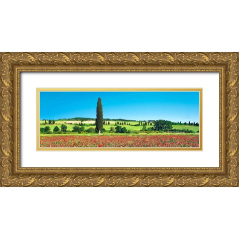 Cypress in poppy field, Tuscany, Italy Gold Ornate Wood Framed Art Print with Double Matting by Krahmer, Frank