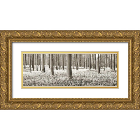 Beech forest with bluebells, Belgium Gold Ornate Wood Framed Art Print with Double Matting by Krahmer, Frank