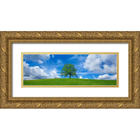 Oak and clouds, Bavaria, Germany Gold Ornate Wood Framed Art Print with Double Matting by Frank, Krahmer