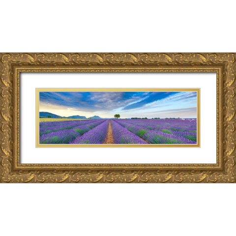 Lavender field, France Gold Ornate Wood Framed Art Print with Double Matting by Frank, Krahmer