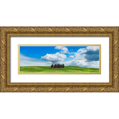 Cypresses- Val dOrcia- Tuscany Gold Ornate Wood Framed Art Print with Double Matting by Krahmer, Frank