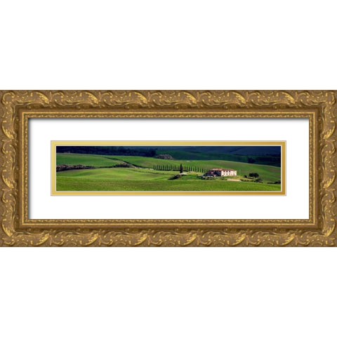 A villa in Tuscany Gold Ornate Wood Framed Art Print with Double Matting by Ratsenskiy, Vadim