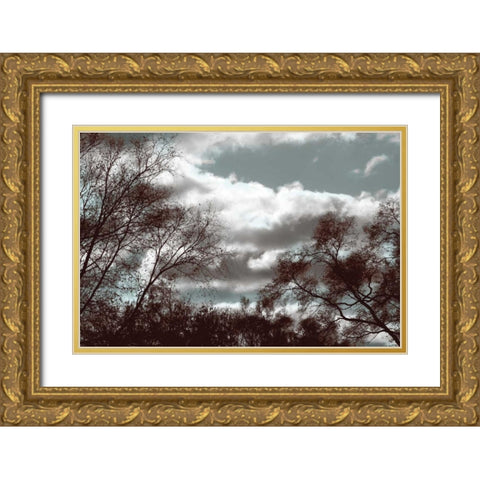 Looking Upward Gold Ornate Wood Framed Art Print with Double Matting by Romita, Denise