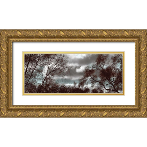 Looking Upward Panel Gold Ornate Wood Framed Art Print with Double Matting by Romita, Denise