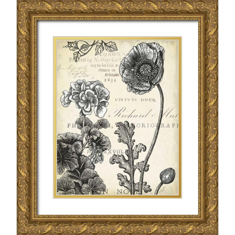 Pen and Ink Floral Study I  Gold Ornate Wood Framed Art Print with Double Matting by Cusson, Marie Elaine