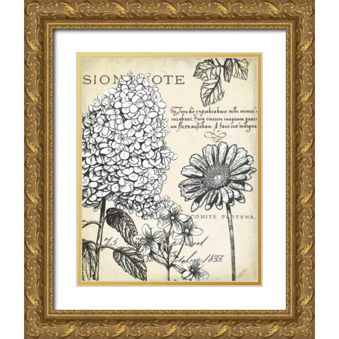 Pen and Ink Floral Study II  Gold Ornate Wood Framed Art Print with Double Matting by Cusson, Marie Elaine