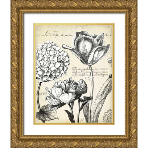 Pen and Ink Floral Study IV  Gold Ornate Wood Framed Art Print with Double Matting by Cusson, Marie Elaine