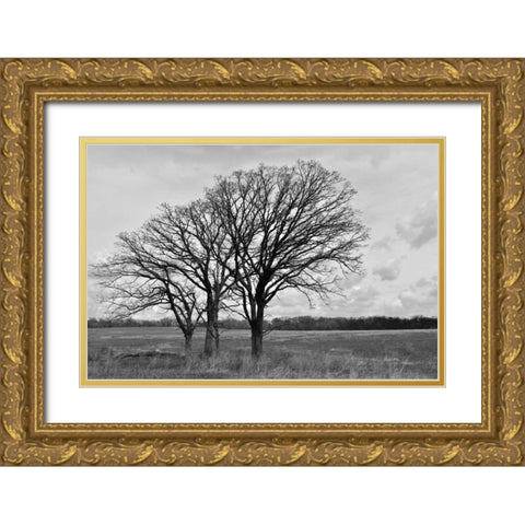 Standing Together Gold Ornate Wood Framed Art Print with Double Matting by Romita, Denise