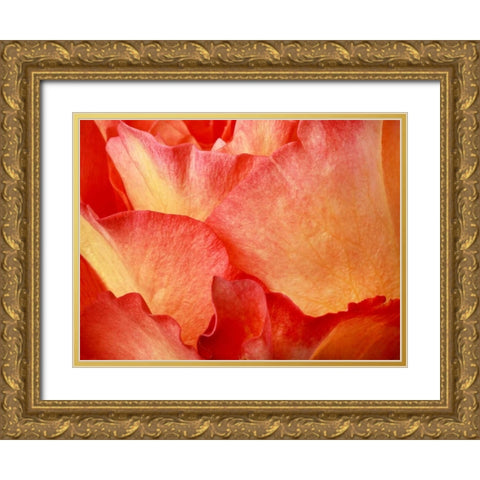 Fire  Gold Ornate Wood Framed Art Print with Double Matting by Michal, Susan