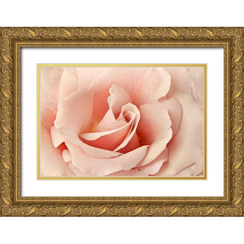 Rosa Gold Ornate Wood Framed Art Print with Double Matting by Michal, Susan