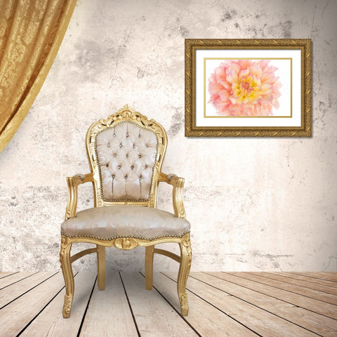 Coral Dahlia Gold Ornate Wood Framed Art Print with Double Matting by Michal, Susan