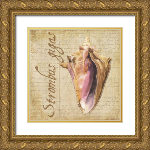 Oceanum Shells Beige I Gold Ornate Wood Framed Art Print with Double Matting by Reed, Tara