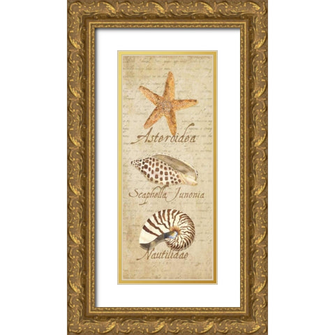 Oceanum Shell Panel Beige II Gold Ornate Wood Framed Art Print with Double Matting by Reed, Tara