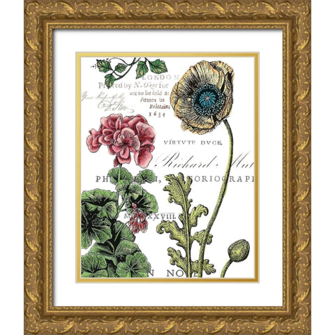 Botanical Postcard Color III Gold Ornate Wood Framed Art Print with Double Matting by Cusson, Marie Elaine