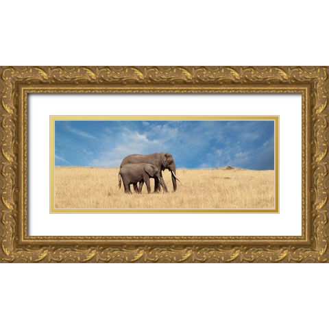 Elephant and her Calf Gold Ornate Wood Framed Art Print with Double Matting by Michal, Susan